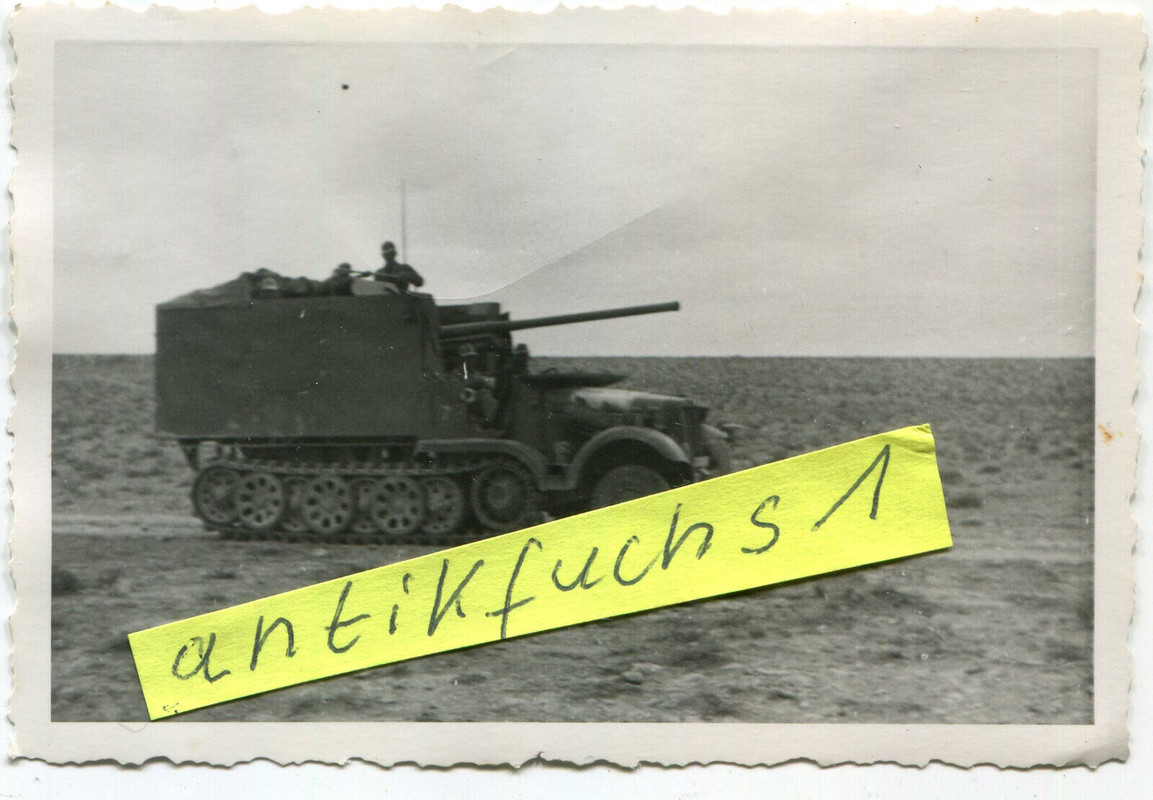 Sturmgeschütz DIANA des Afrikakorps in Afrika 2.WK