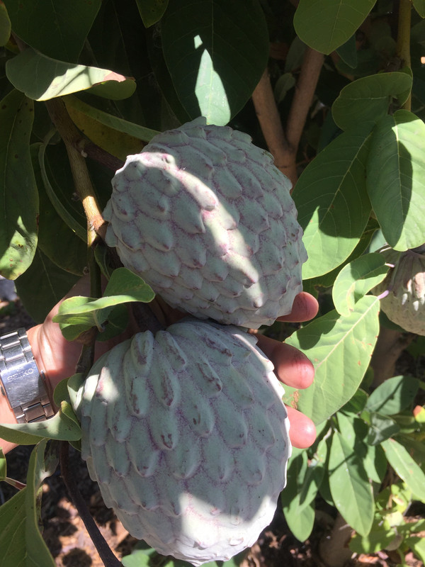 E7D45B48-8A34-471F-A511-348327832F00