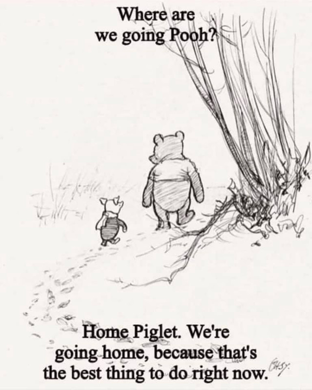 pooh bear goig home
