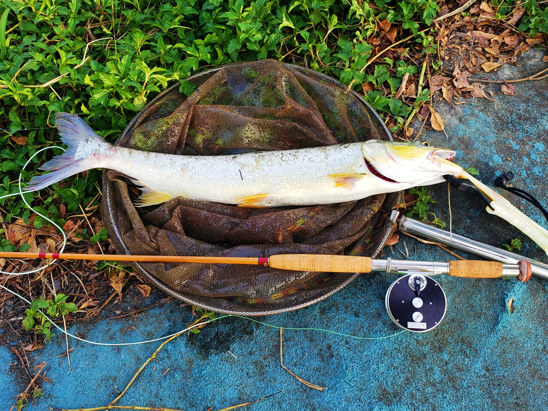 20221008_155208_mh1665242591574