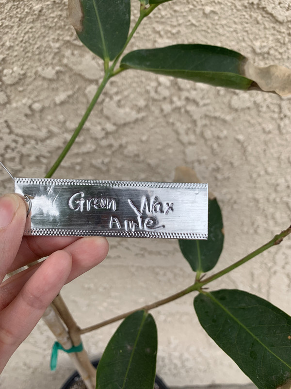 2BF57BAF-852A-43C7-98C1-0EF395C36F69