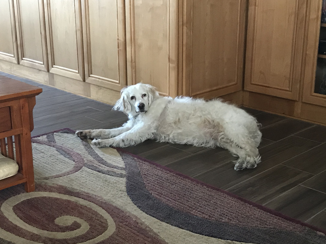 398DDB2E-F511-42FC-A047-BA37356576F1