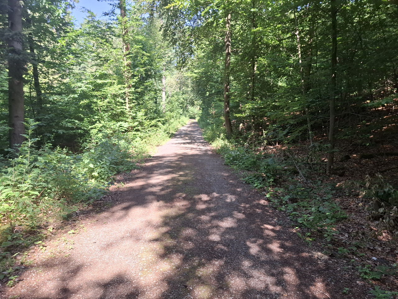 20260704-110139.jpg