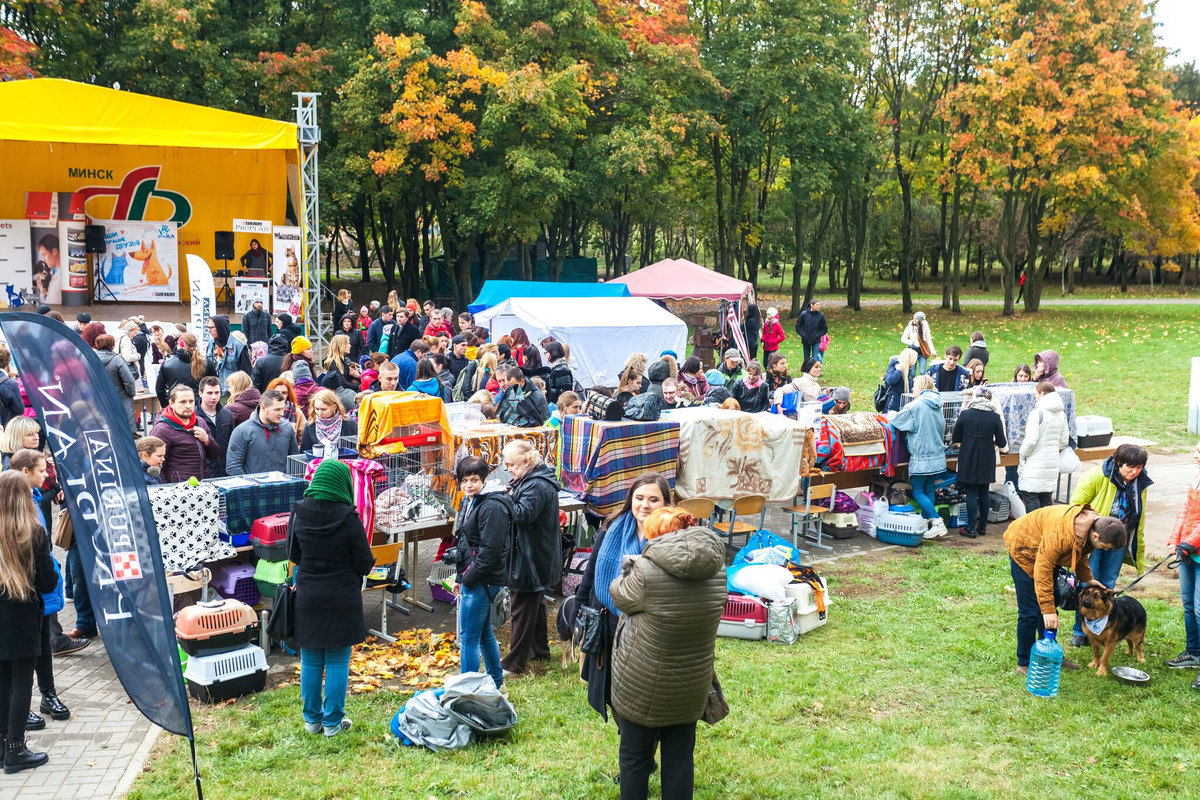 235AA7F1-E73F-430F-A8DA-D2BC9F20C9C7