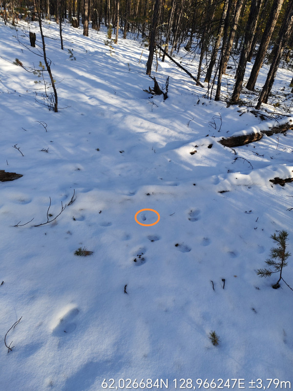 TimePhoto_20251009_151658_edit_999660964704592