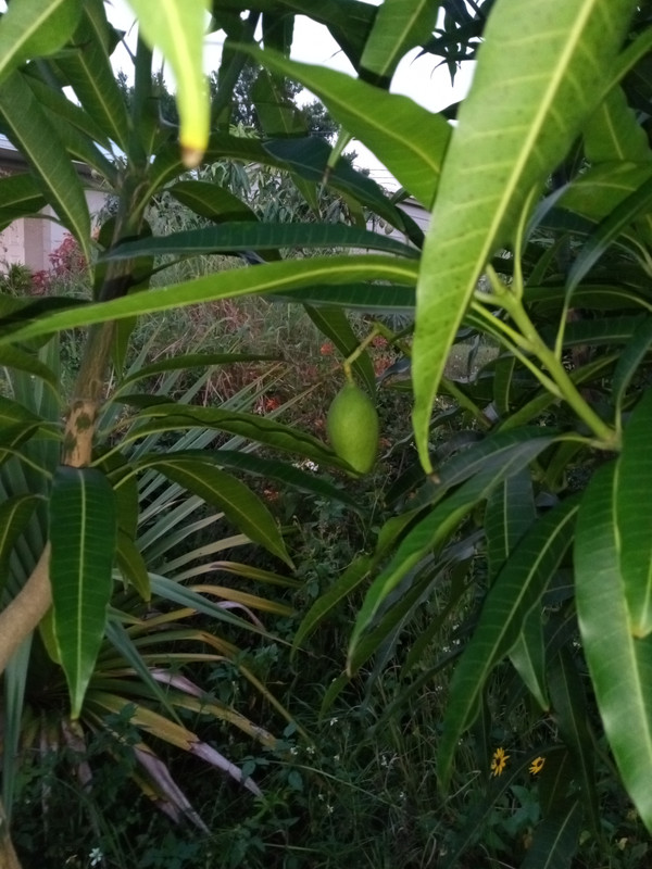 IMG_20240511_201209363