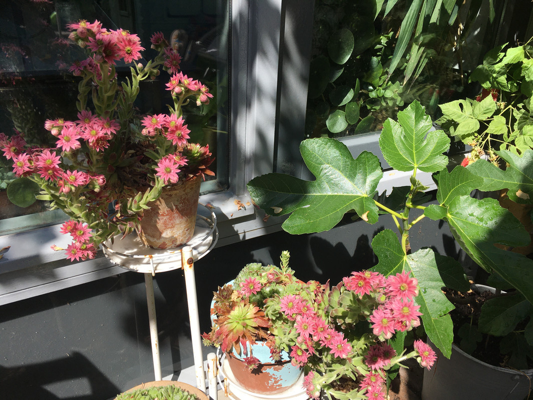 3AD9A6D6-AE4A-41D2-83FA-3D801A7713F6