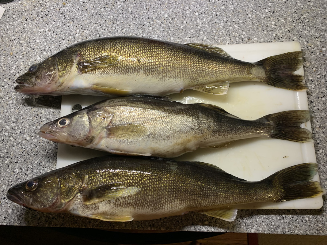 1D5E9B83-DEA6-4703-880B-C1A973DB1057