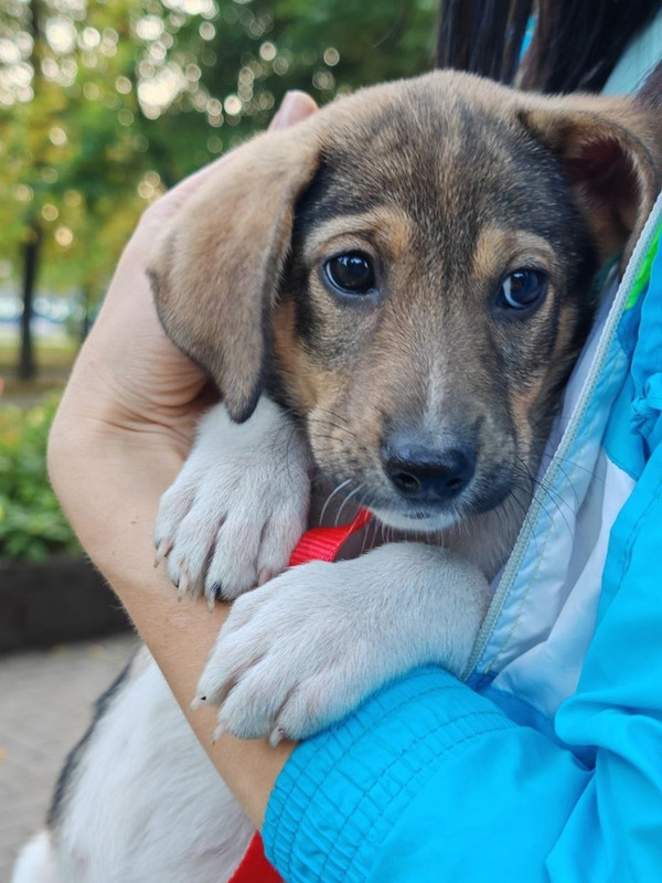 UCQ3LMaMmZZ4n5q7XTYWUJNviY7d3CSvLoUhSXScOEk_iM1cZENYP2uAkO8U4Y3KQLdAupYy1tsoch5TZA7VMRLJ