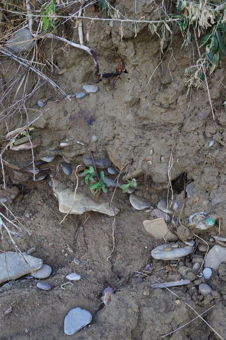 DSC05291_kinogorodok