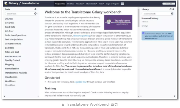 Translatome Workbench_1