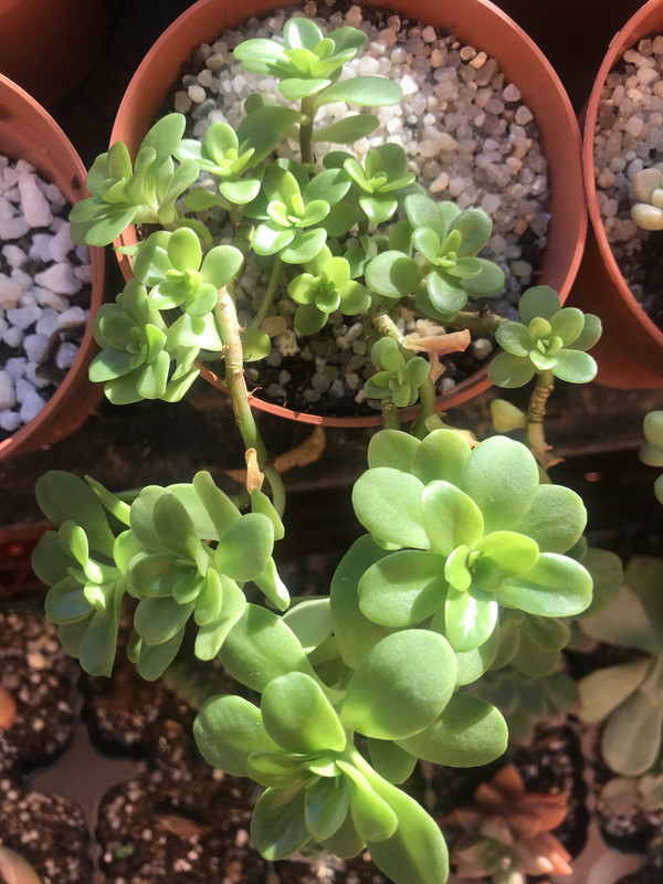 80FF6036-BE6D-4152-AA24-0CCAA585E90B