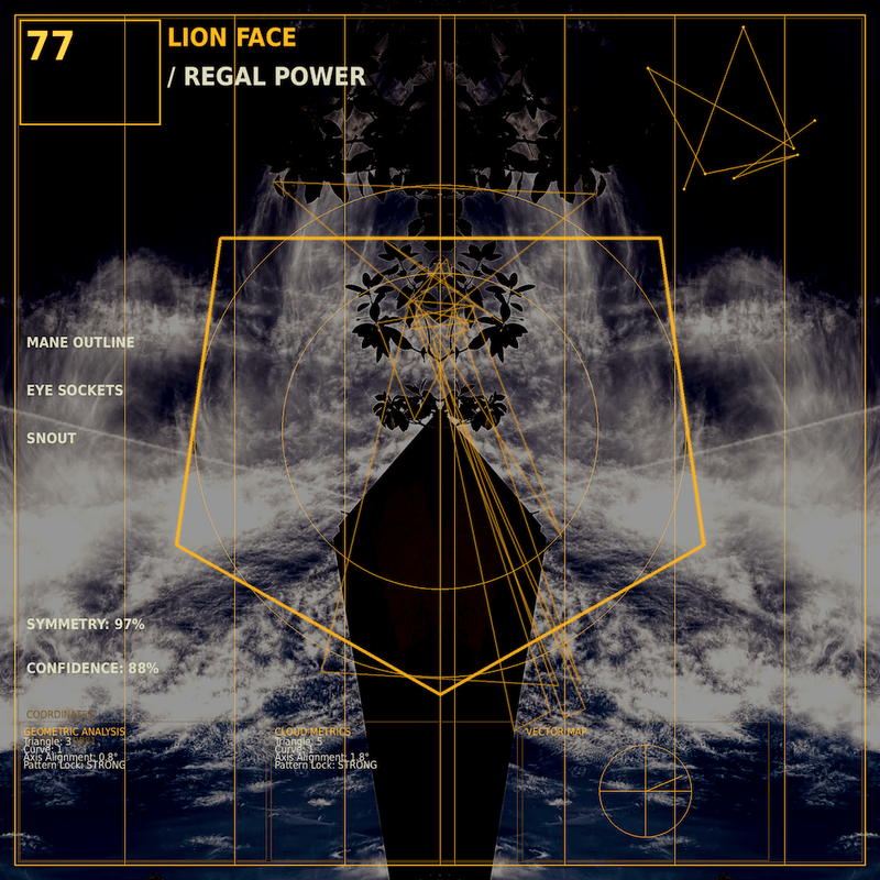 Lion face