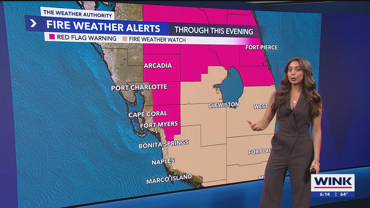 WINK News at 600am_20250306_11001130.ts_snapshot_15.43.667