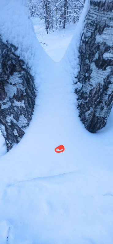 photo 2025 12 29 01 33 16