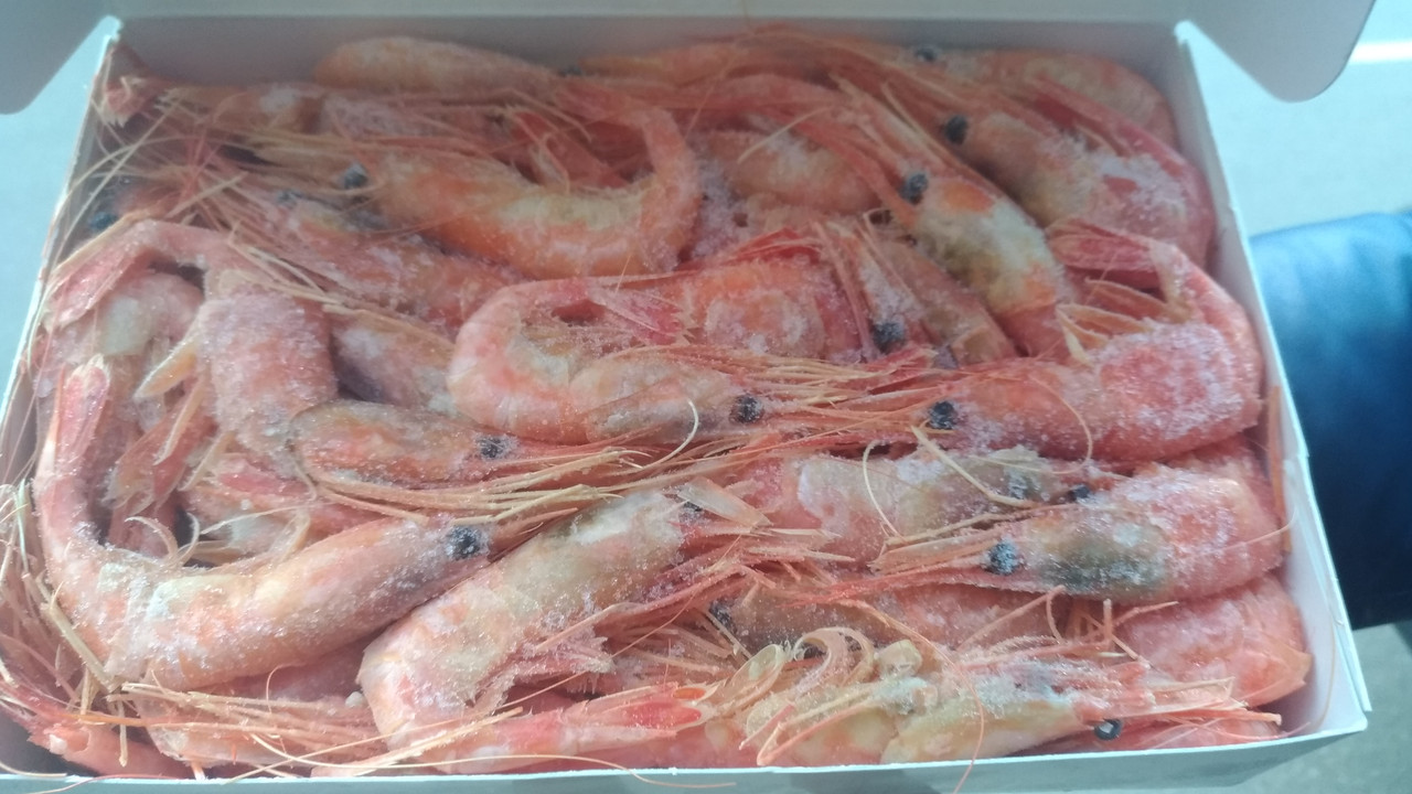 P_20181026_160955_vHDR_Auto