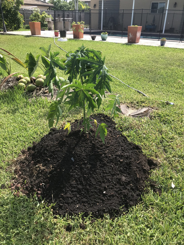 CD42D8A4-F5D3-4C87-B8A4-9531697EAF46