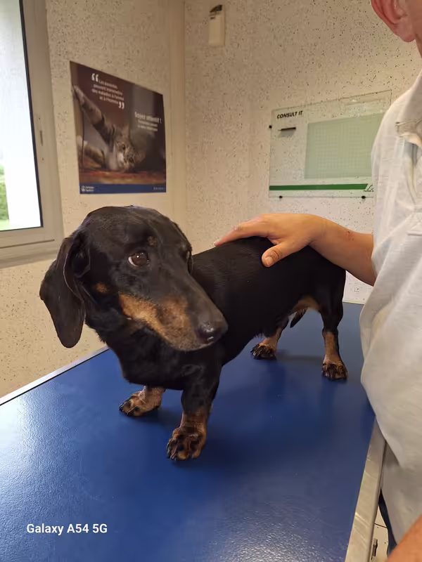 [Image: 20240820-181123.avif]