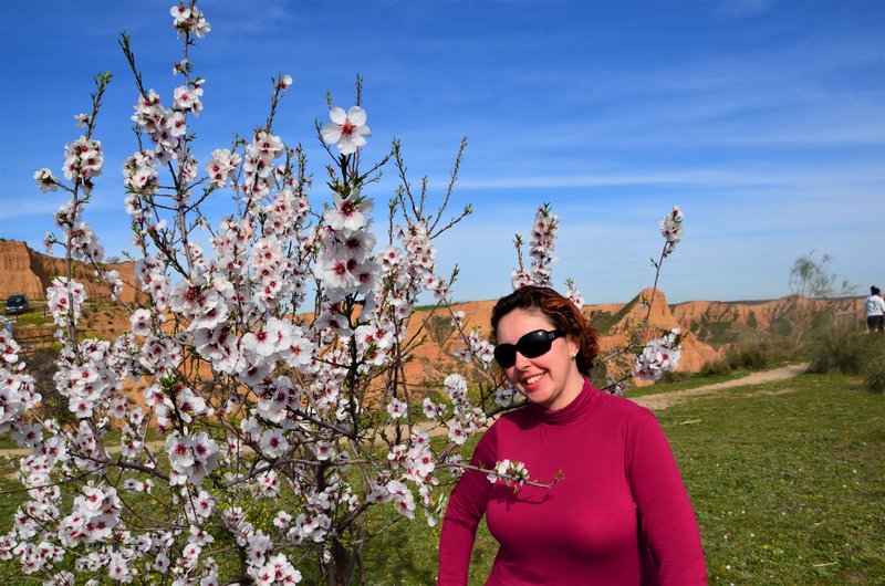 BARRANCAS DE BURUJON-8-3-2015-TOLEDO - Paseando por España-1991/2016 (15)