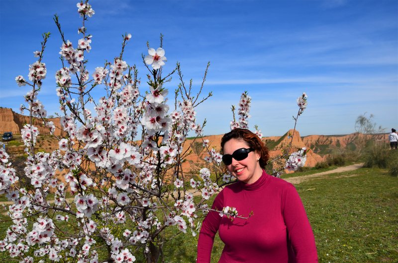 BARRANCAS DE BURUJON-8-3-2015-TOLEDO - Paseando por España-1991/2015-Parte-1 (15)