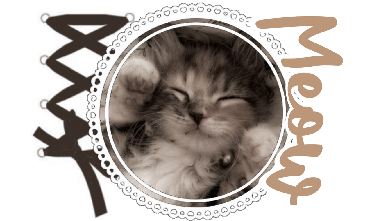 meow | creds