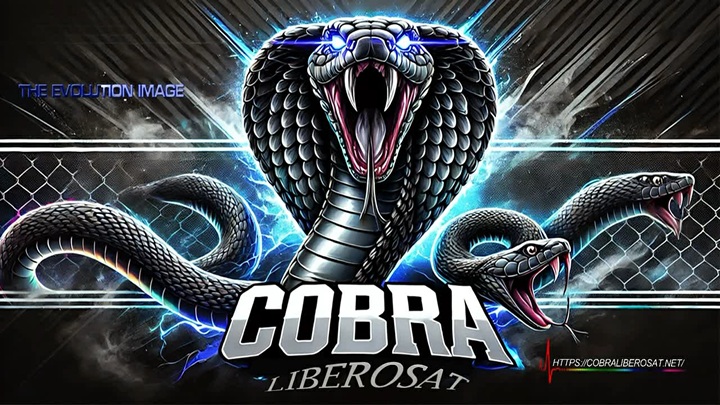 [Obrazek: logo-cobraliberosat.jpg]