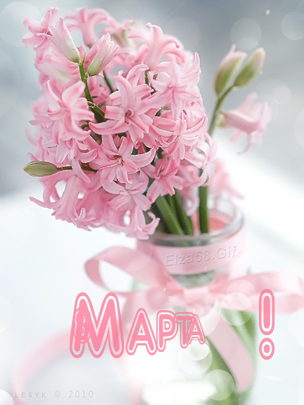 322a804e3a294d9fa1841a1689dd3e09