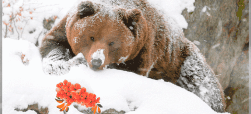 GIF-20260407-065915-182.gif
