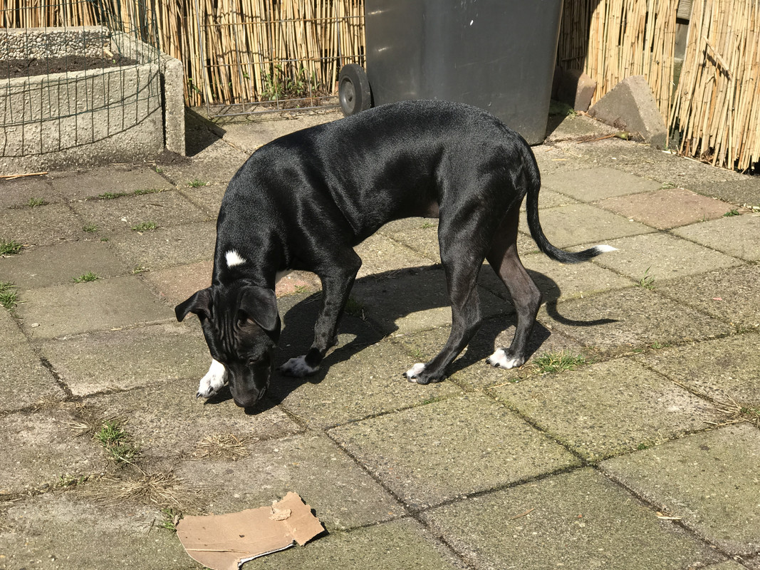 8AD24AEE-4FB6-45E7-BA5C-08A8ECA9EAC4