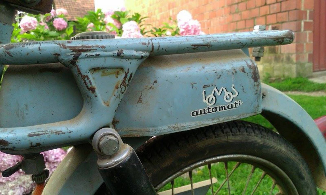 10514690_10204376583838700_6309194868609755402_n