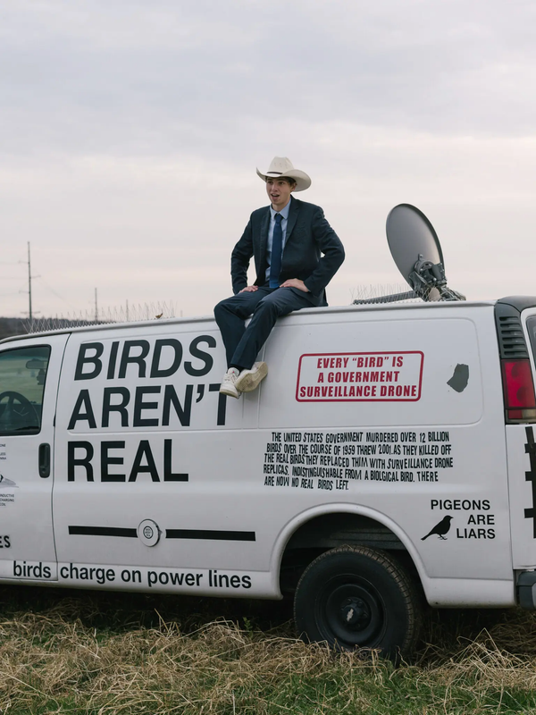 [Image: birds-arent-real.png]