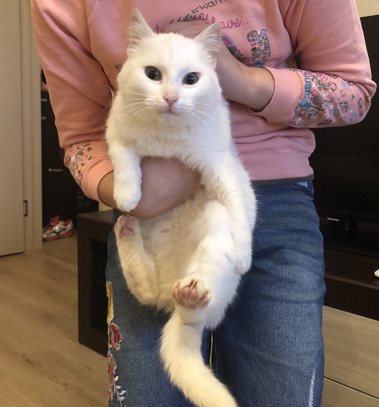 AEC8A0C0-1F2B-44A3-ACD9-6FA0599D905C