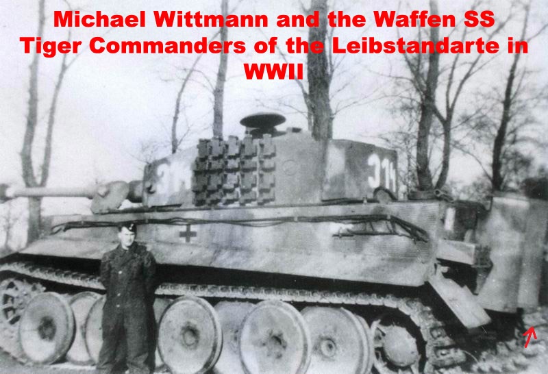 s_SS_Pz_Abt_101_314a_3_bigо