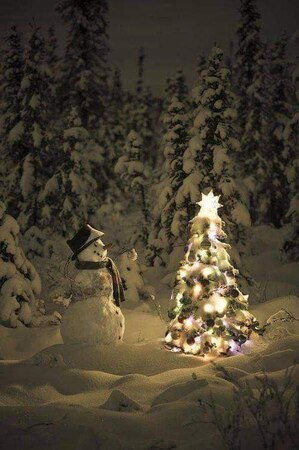 Christmas-a-tree1