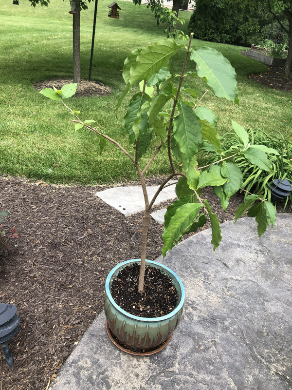 D86AEFE6-AF96-4C84-BB03-FBB63989D4E4