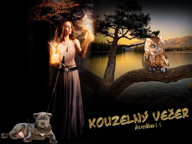 Kouzelny-vecerk