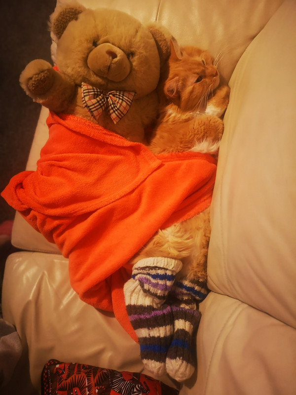 IMG-20201011-195113.jpg