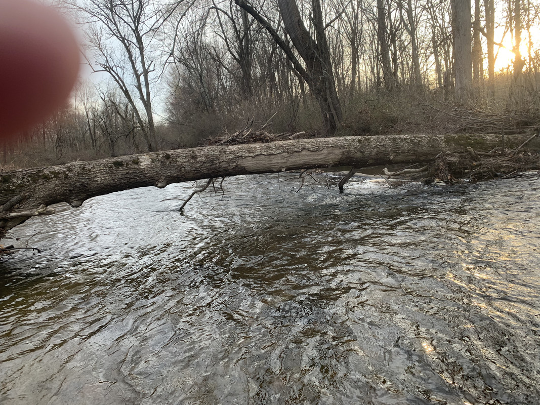 87F66348-6EED-4479-AAAF-42D4D2D53A71