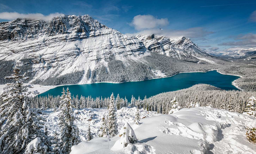 El año de la naturaleza canadiense: invierno (2019) Webdl 