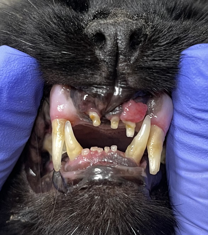 CC416DAC-BDBF-46D9-90B5-55BCAA43054E