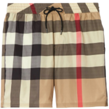 Burberry shorts [2+ styles]