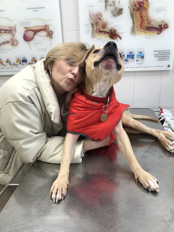 3FB1AB55-0E6B-4181-B886-A796114C6FE2