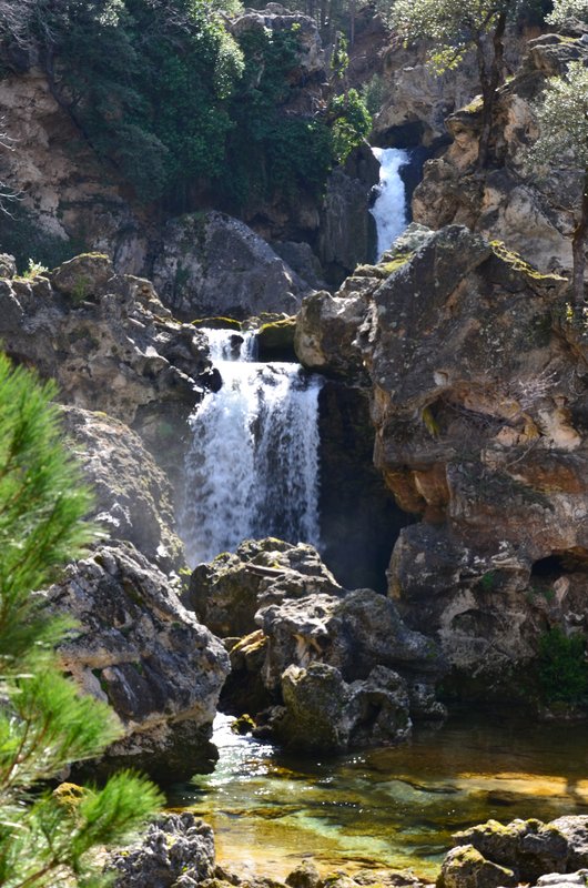 RUTA RIO BOROSA-12-3-2016-JAEN - Paseando por España-1991/2016 (94)