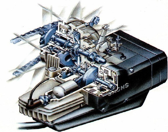 sachs