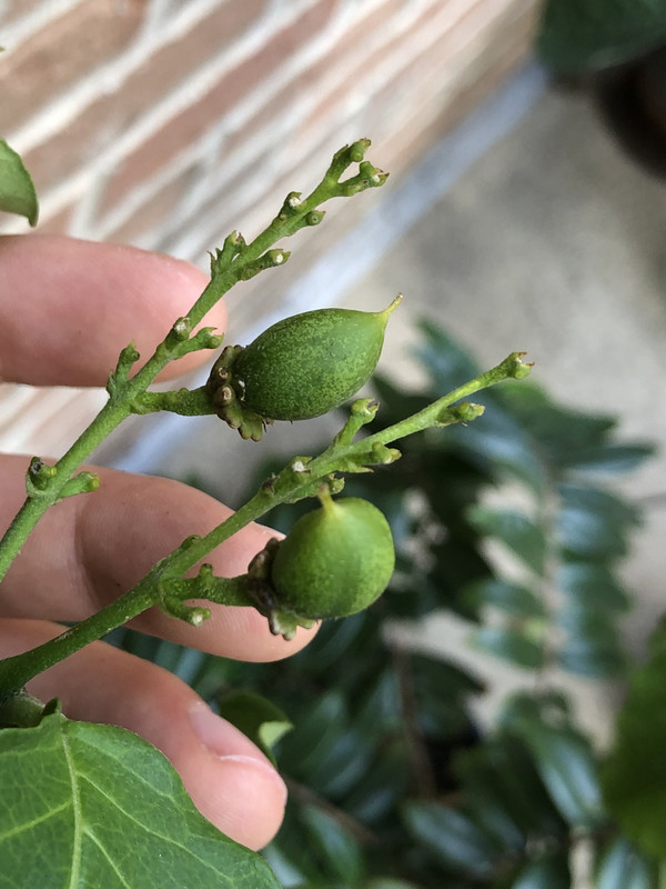 1CAA939D-1CF4-4B98-80C1-3B7518DDDDC8