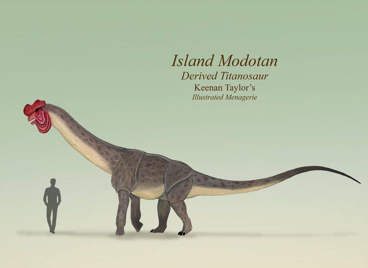 d97dd73ddf0c9bda9582ff6f9fccd1e1