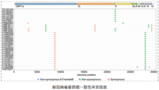 新冠病毒在个体内变异及个体间传播演化最新研究进展-2.png