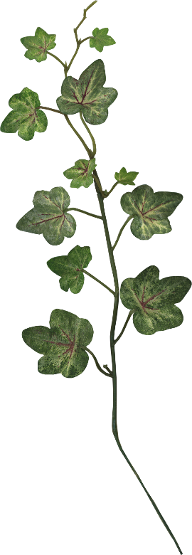 Autumn Witchery (118)