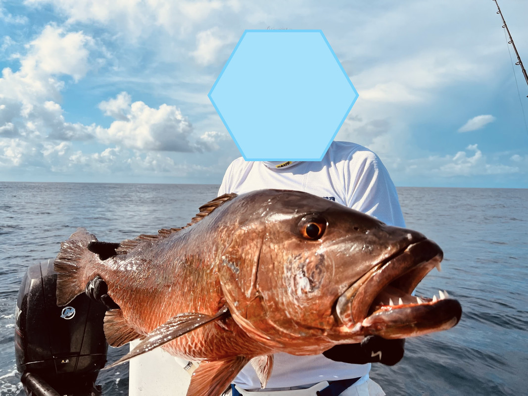 IMG_026195 (Conflicto de mayúsculas y minúsculas)