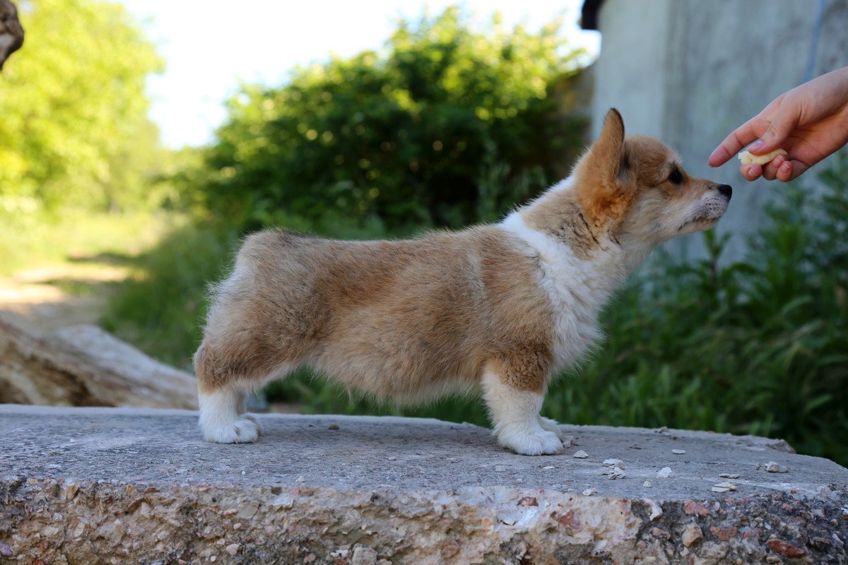 IMG_5676  грут 8.06. 21